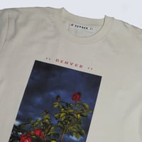 Image 2 of ROSES LONG SLEEVE WARM WHITE