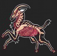 Image 3 of Transparent Goat Skeleton Sticker