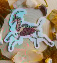 Image 2 of Transparent Goat Skeleton Sticker