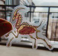 Image 1 of Transparent Goat Skeleton Sticker