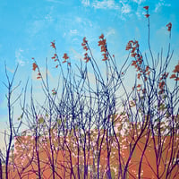 Image 2 of Last Leaves