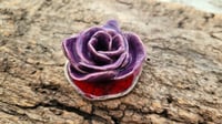 Image 2 of Dainty Rose