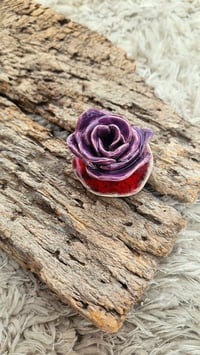 Image 5 of Dainty Rose
