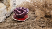 Image 3 of Dainty Rose