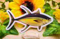 Image 2 of Transparent Yellowfin Tuna Sticker