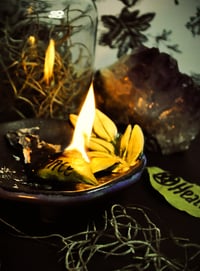 Baby Bay Leaf Tray