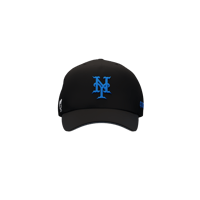 Image 3 of Mets Queens, NY
