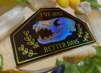 Image 2 of HOLO I’ve Had Better Days Sticker