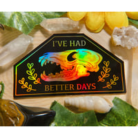 Image 1 of HOLO I’ve Had Better Days Sticker