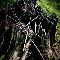 Image 2 of Skewers