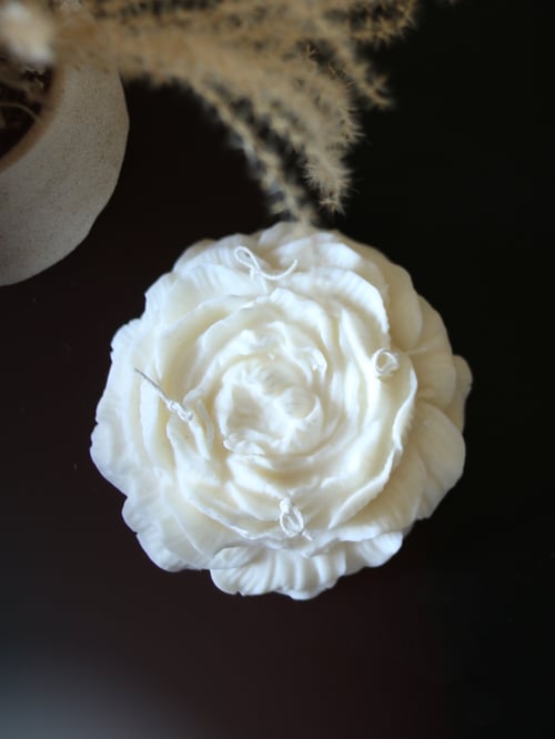 Image of Pivoine XXL