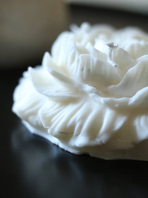 Image of Pivoine XXL