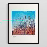 Image 1 of Last Leaves