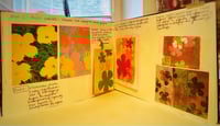 Image 4 of Gelliprinting - a 5 part course  at Clevedon Craft Centre from 25/04/25