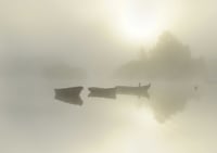 The three boats exclusive print