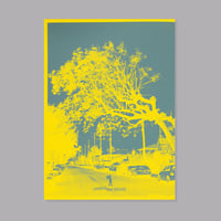 Image 15 of Carlos Jaramillo  - South Central - Singed