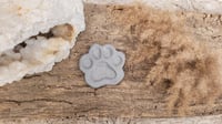Image 3 of Paw Print Paint Pallet