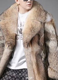 Image 4 of Natural Wolf Fur