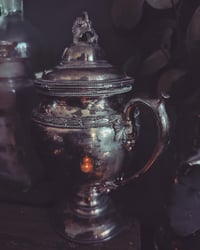 Image 4 of The Poisoner's Cauldron 