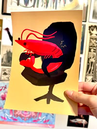 Image 2 of Shrimp Posture Prints