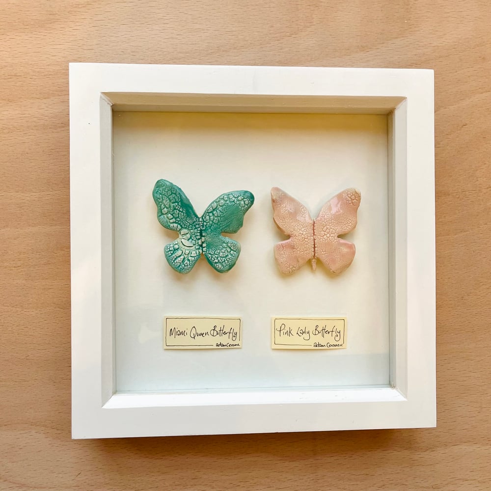 Image of Framed Butterfly Duo 