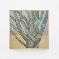 Image 1 of Sugar Maple