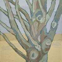 Image 4 of Sugar Maple