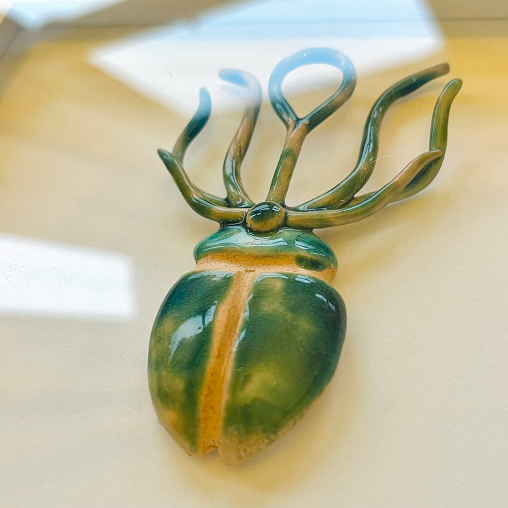 Image of Framed Grand Beetle 