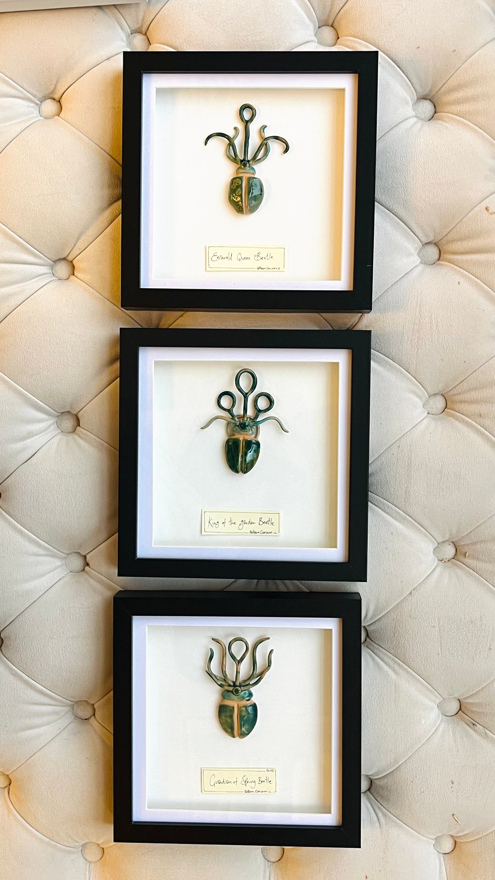Image of Framed Grand Beetle 