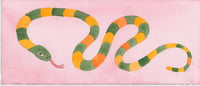 Green and Orange Snake on a Red Background