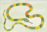 Green and Orange Snake on a Green Background