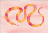 Red and Orange Snake on a Red Background