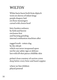 Image 3 of SUBLIME GREEN LINIMENT - MARK WRIGHT