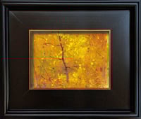 Image 1 of Autumnal Forest