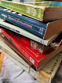 Image 2 of Bibliomancy Reading - Long