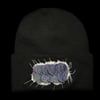 Elvis Worm [Peinaleopolynoe orphanae] Beanie