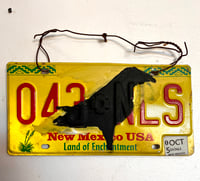 Image 1 of NM License Dark Bird