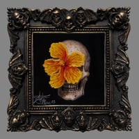 "Orange Skullflower Mini" Miniature Oil Painting