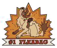 Image 4 of Number 1 Fleabag Patch