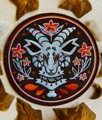 Image 1 of Jacob’s Sheep Patch