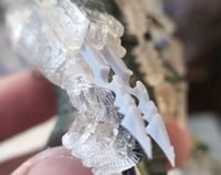 Image 1 of Predator Wrist Blades