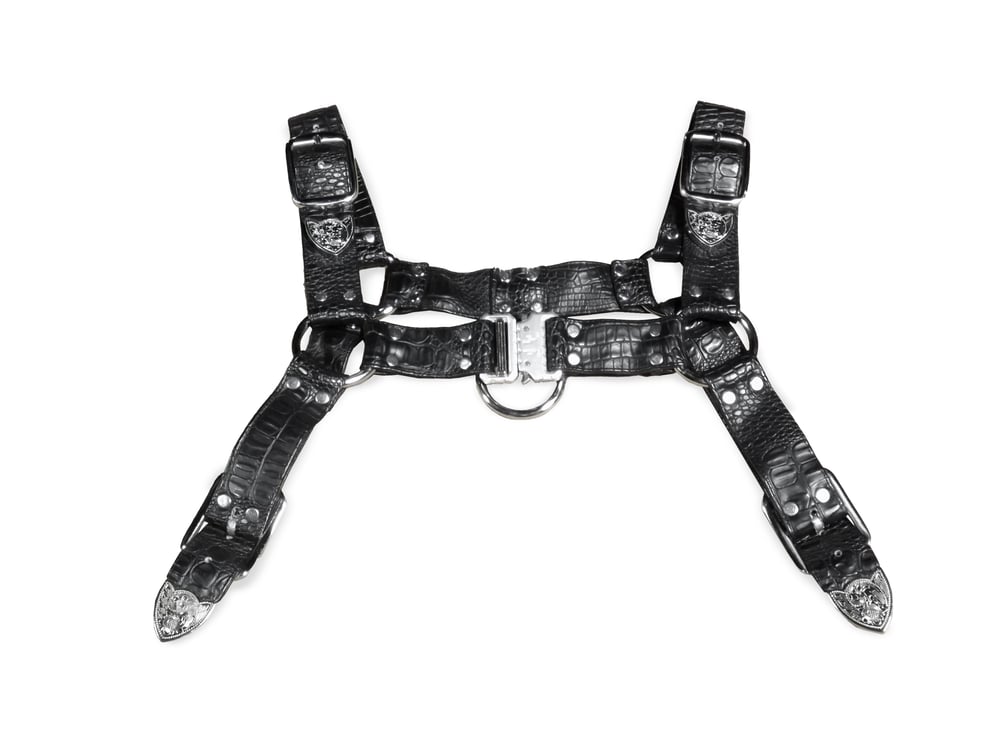 Image of RAGER HARNESS