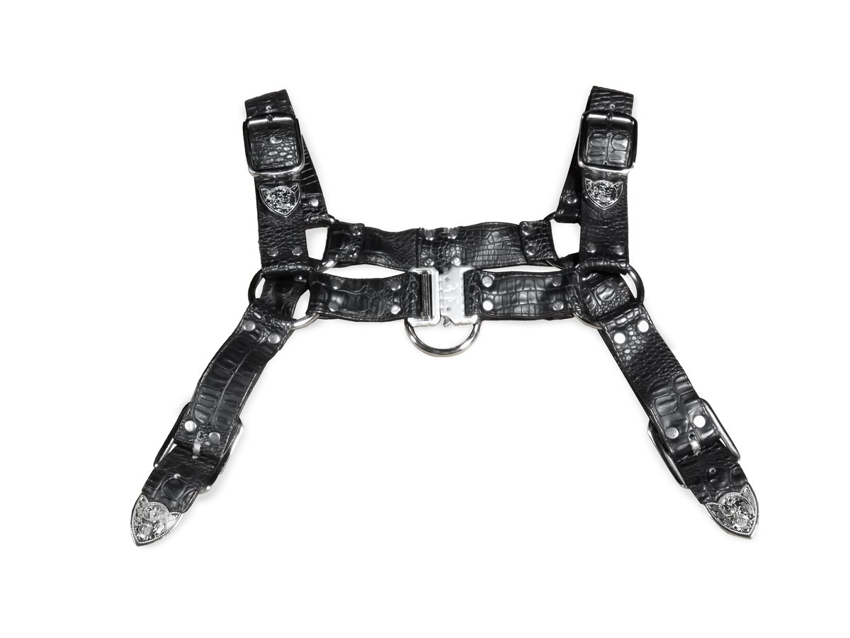 Image of RAGER HARNESS
