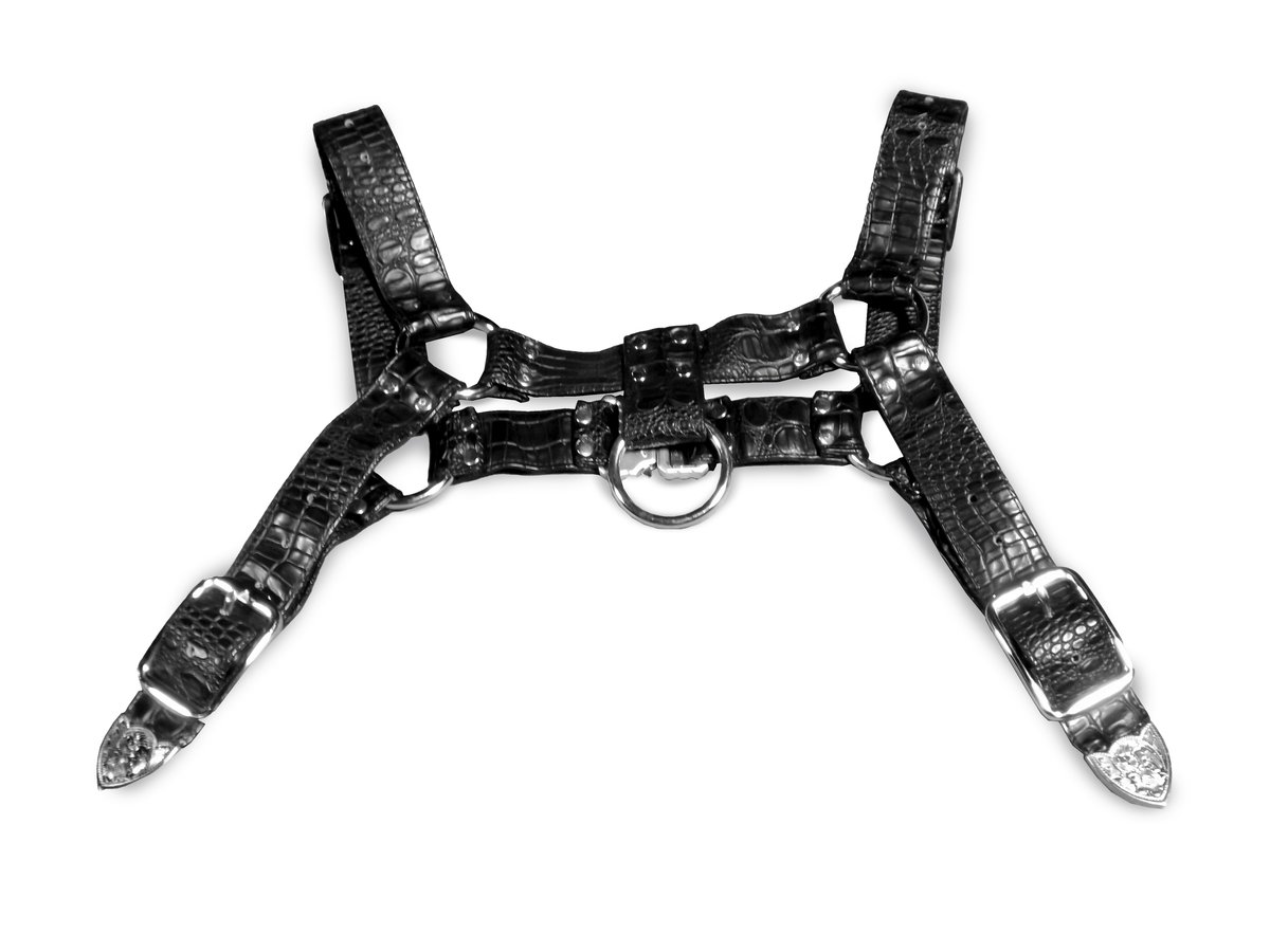 Image of RAGER HARNESS
