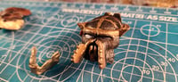 Image 3 of Predator Biomask - Ancient Lord