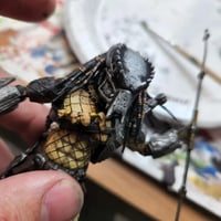Image 2 of Predator Biomask - Bad Blood