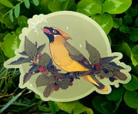 Image 1 of Cedar Waxwing Sticker (Holo Berries!)