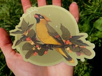Image 2 of Cedar Waxwing Sticker (Holo Berries!)