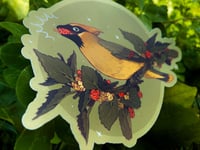 Image 3 of Cedar Waxwing Sticker (Holo Berries!)