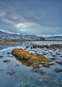 Frozen Serenity exclusive print